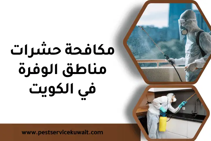 مكافحة نمل أبيض بالكويت 7/24 – حماية منزلك من الحشرات الضارة 2 مكافحة حشرات مناطق الوفرة