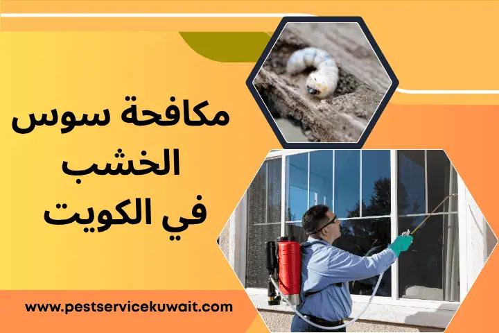 شركة مكافحة سوس الخشب
