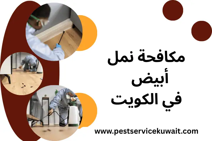 فني مكافحة نمل أبيض