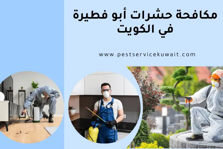 فني مكافحة حشرات أبو فطيرة