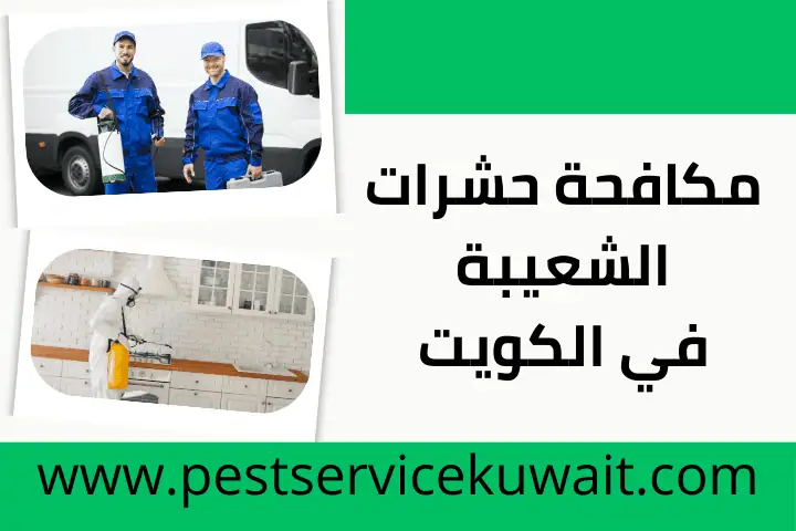 مكافحة حشرات الأندلس بالكويت 24 /7 – خدمة ابادة الذباب الطائر 2 خدمة مكافحة حشرات الشعيبة