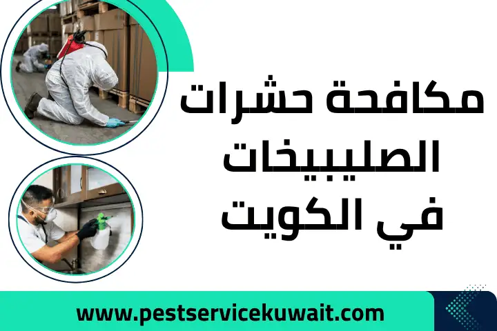 مكافحة حشرات الصليبيخات بالكويت 24 /7 – حلول فعالة ورش مبيدات 1 فني مكافحة حشرات الصليبيخات