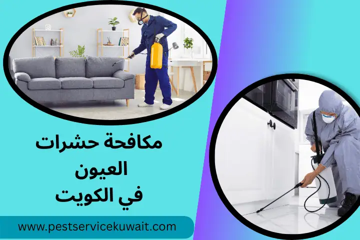 فني مكافحة حشرات العيون