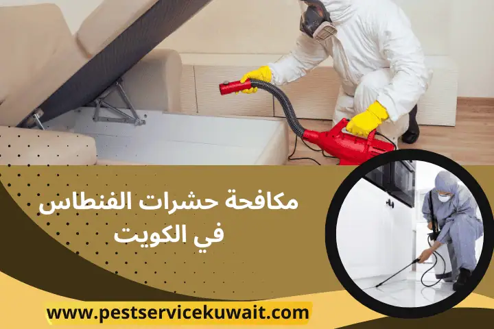 فني مكافحة حشرات الفنطاس