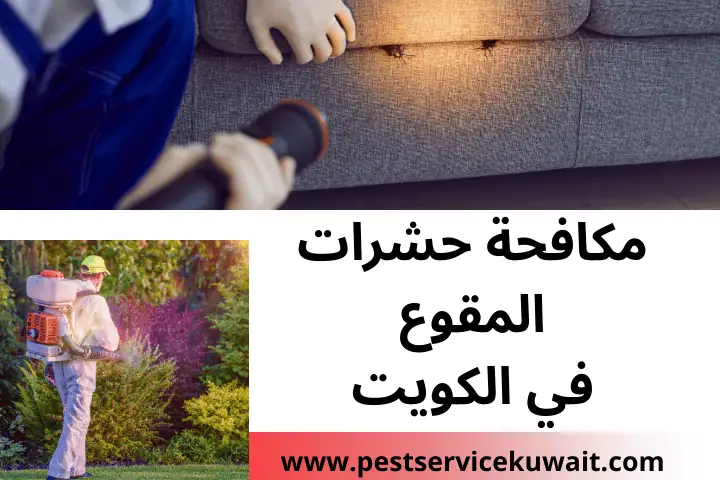 فني مكافحة حشرات المقوع