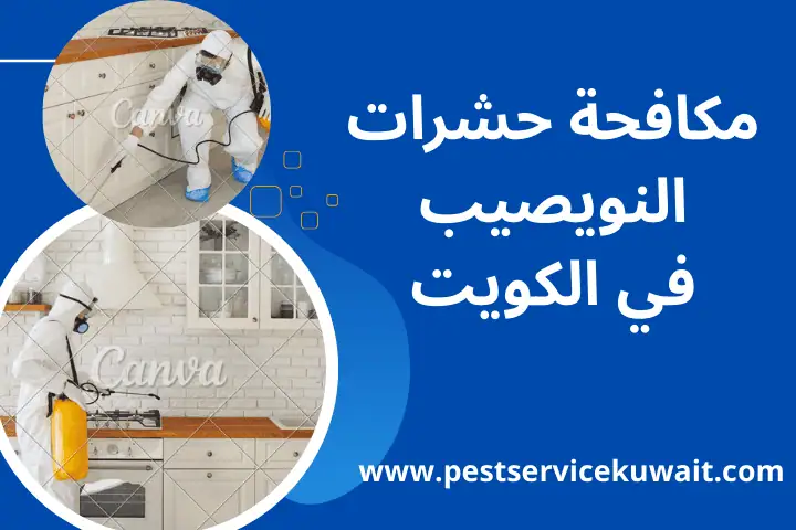 مكافحة حشرات النويصيب في الكويت 24 ساعة – حماية فعّالة لمنزلك 1 خدمة مكافحة حشرات النويصيب