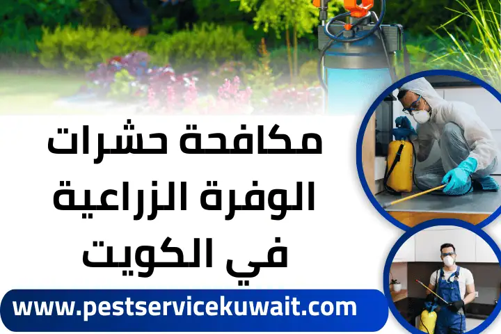 مكافحة حشرات الوفرة الزراعية في الكويت 24 ساعة – حماية كاملة 1 فني مكافحة حشرات الوفرة الزراعية