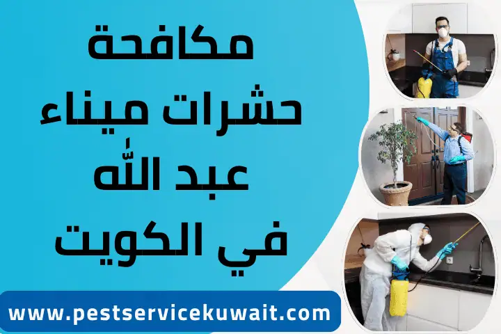 مكافحة حشرات ميناء عبد الله بالكويت 7/24 – خدمات لحماية المنازل 1 فني مكافحة حشرات ميناء عبد الله