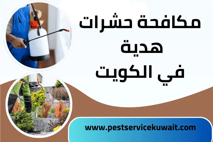 ورشة مكافحة حشرات هدية