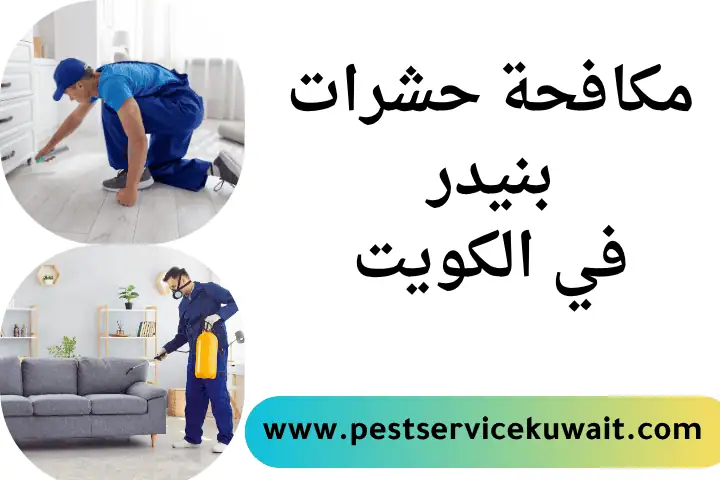 مكافحة حشرات بنيدر بالكويت 24 ساعة – الحل الأمثل لحماية منزلك 1 فني مكافحة حشرات بنيدر
