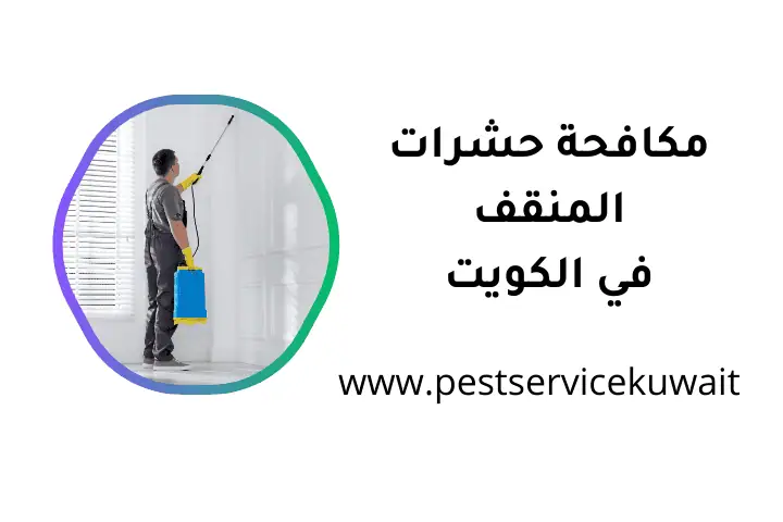 مكافحة حشرات المنقف في الكويت 24 ساعة – مكافحة حشرات و قوارض 1 خدمة مكافحة حشرات المنقف